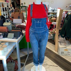 Dish Overalls in Medium Wash